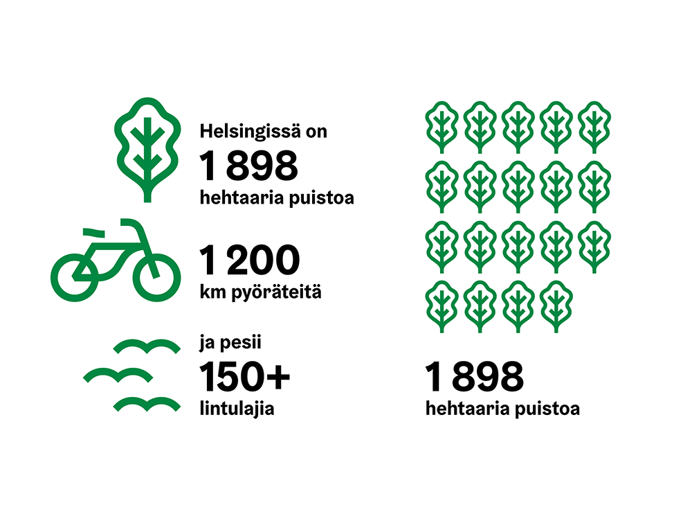 Detail of infographic in guideline.